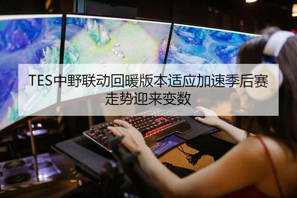 TES中野联动回暖版本适应加速季后赛走势迎来变数